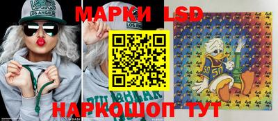 гашик Нальчик