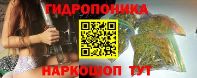 гашик Нальчик