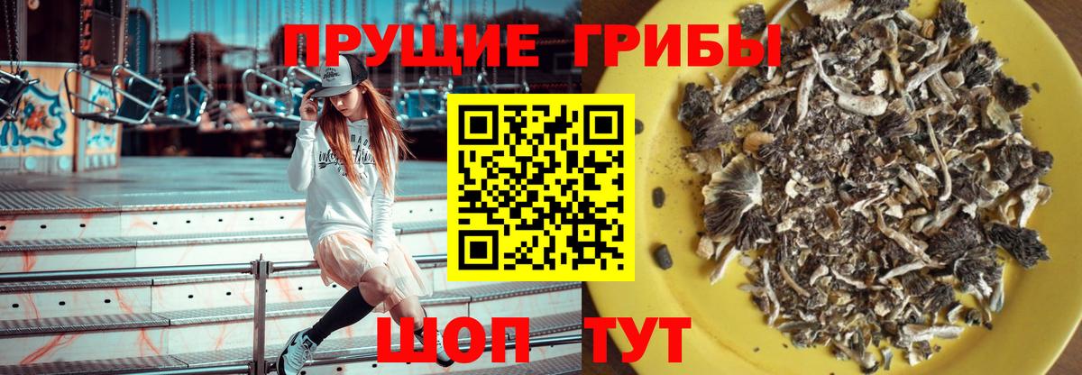 Псилоцибиновые грибы GOLDEN TEACHER  Вход с VPN  Пушкино  Галлюциногенные грибы ЛСД 