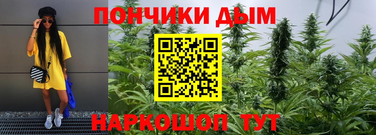 Каннабис планчик  Марихуана LSD WEED  Шишки марихуана White Widow  Вход с VPN  Пушкино  Каннабис Bruce Banner 